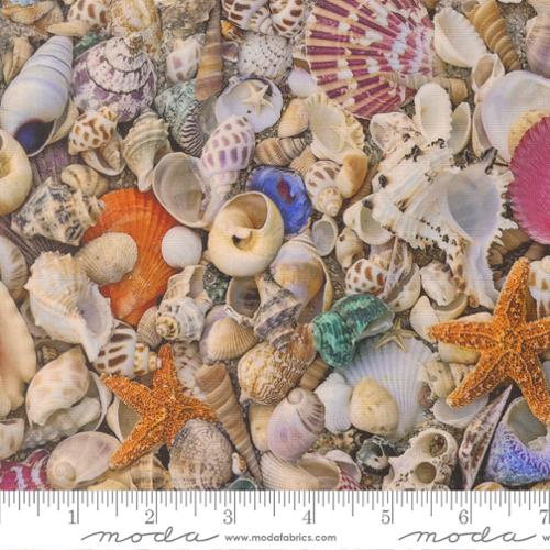 Saltwater Shell 39570 11 Moda