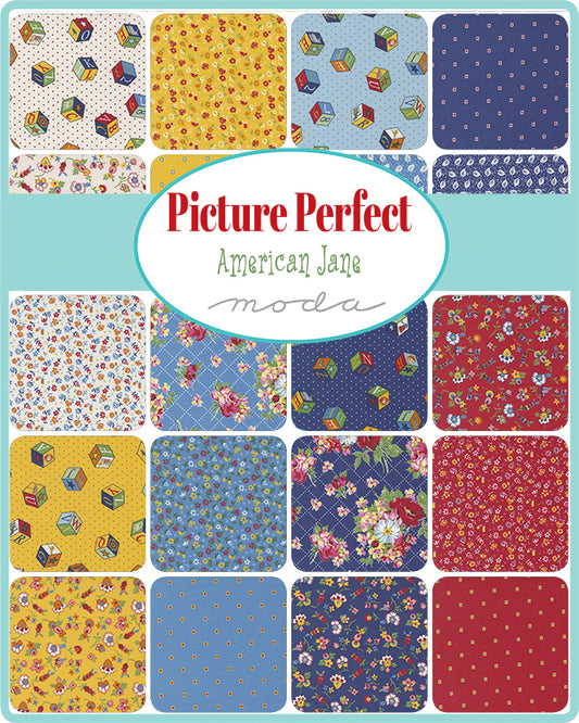 QB- American Jane- Picture Perfect (includes panel)