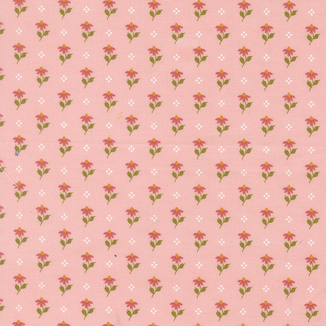 Wild Honey Carnation 5252 12 Moda