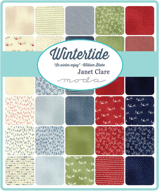 QB-Janet Clare-Wintertide