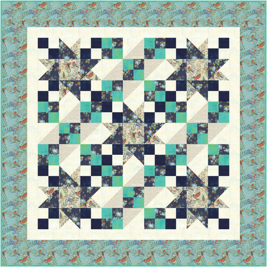 KIT- Nature Walk Kit