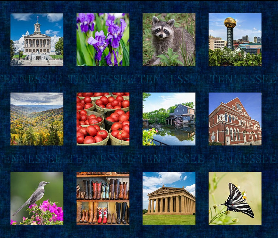 KY/TN Shop Hop 2025- Panel