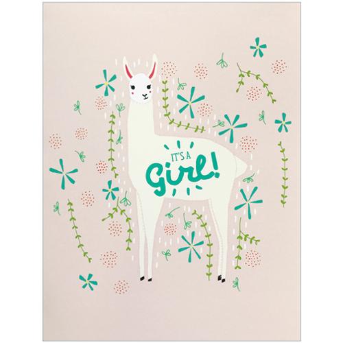 Its A Girl Box Set Cards Llama